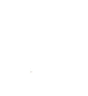 tire logo4